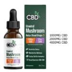 CBDfx Relax Blend Mushroom Tincture with CBN and CBD