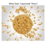 What Does “Liposomal” Mean?